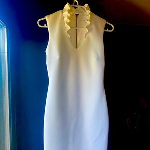 NWT Ruffle collar neck Calvin Klein Scuba Shift Dress
